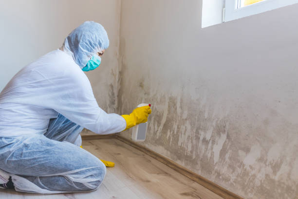 Licensed Mold Testing service in Pennsylvania, PA - WQB Mold Removal