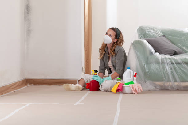 Reliable Mold Testing contractor in Pennsylvania, PA by WQB Mold Removal